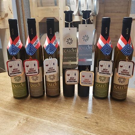 马里博尔Wine House Kaloh别墅 外观 照片