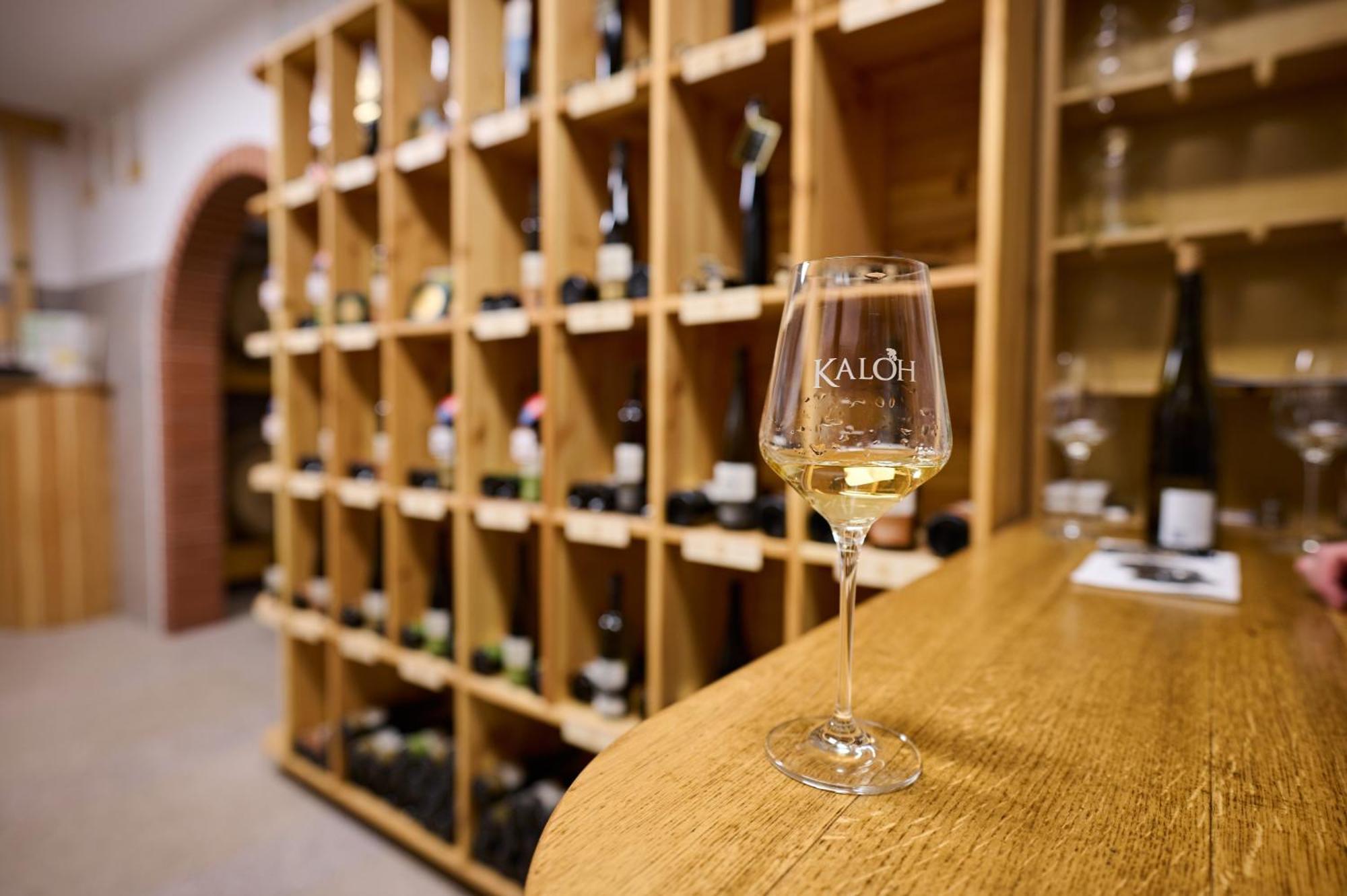 马里博尔Wine House Kaloh别墅 外观 照片