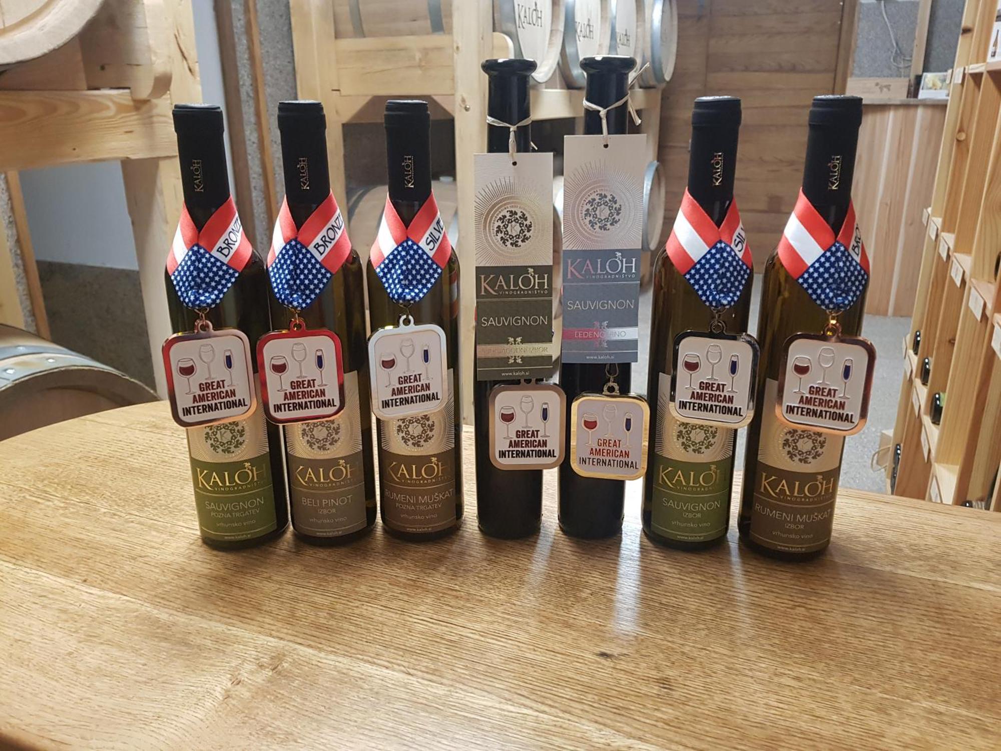 马里博尔Wine House Kaloh别墅 外观 照片