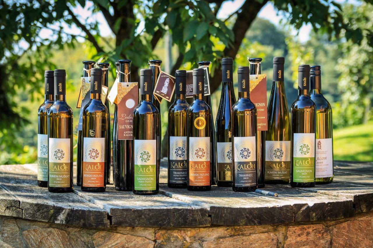 马里博尔Wine House Kaloh别墅 外观 照片