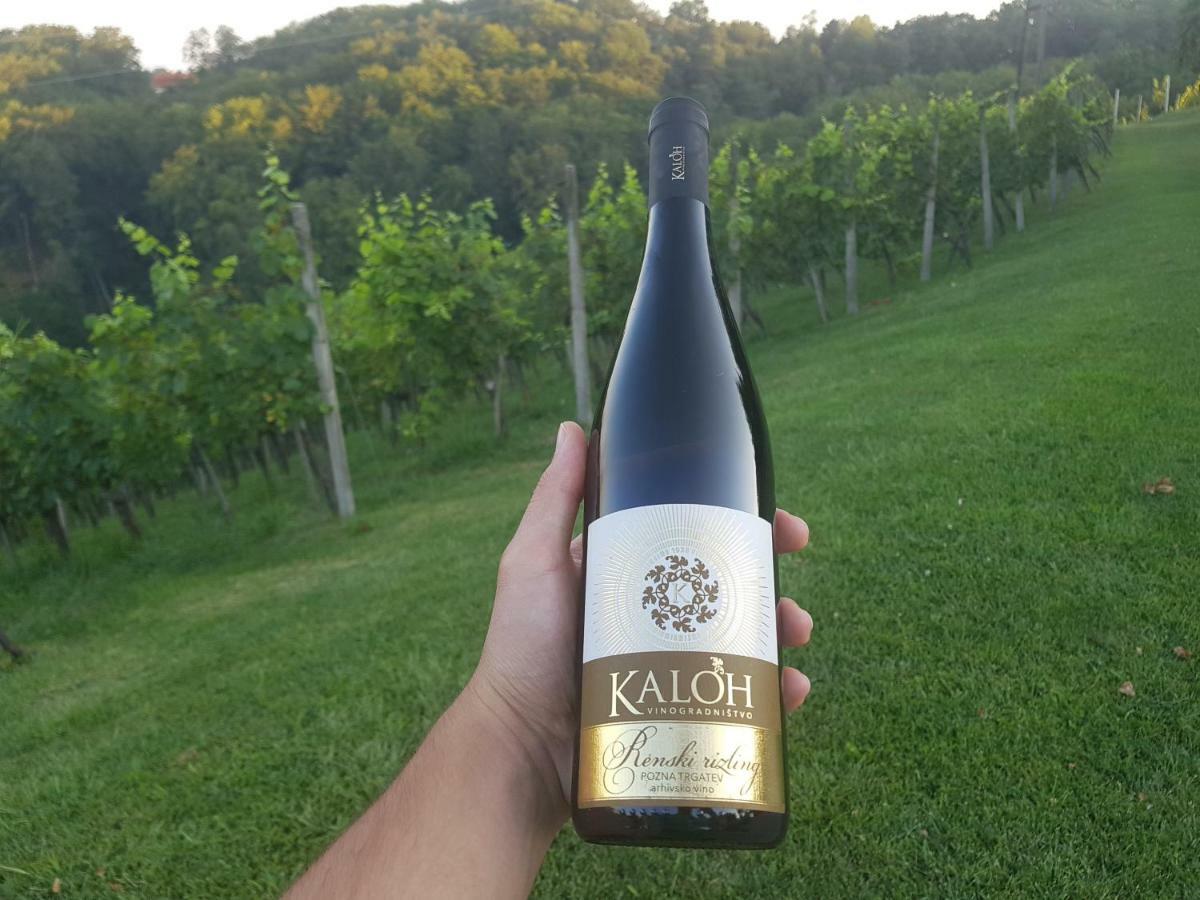 马里博尔Wine House Kaloh别墅 外观 照片